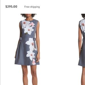 Ted Baker Chatsworrth A line dress